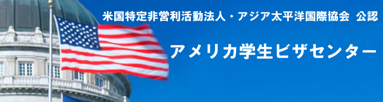 ����ꥫ�����ӥ����󥿡�